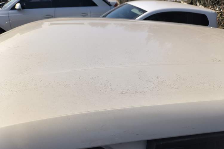 Used BYD Seagull 2024 Honor Edition 305km Dynamic Version
