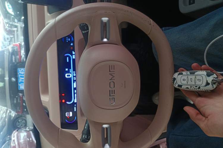 Used  Panda 2023 Panda Mini 200km Endurance Bear
