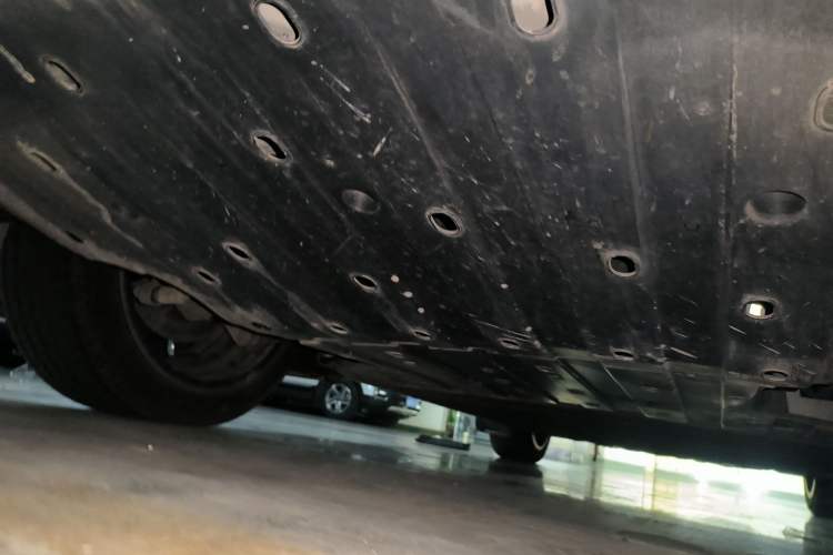 Used  07 2024 Max Pure Electric Edition
