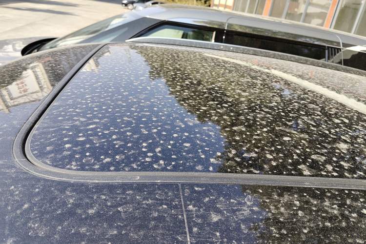 Used Audi Q5L 2020 45 TFSI Prestige Elegant Edition