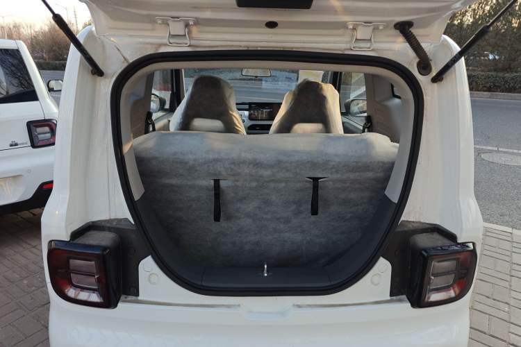 Used  Panda 2024 Panda Mini 200km Endurance Bear