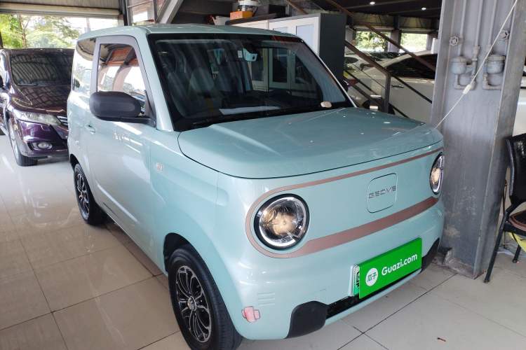 Used  Panda 2023 Panda Mini 200km Endurance Bear
