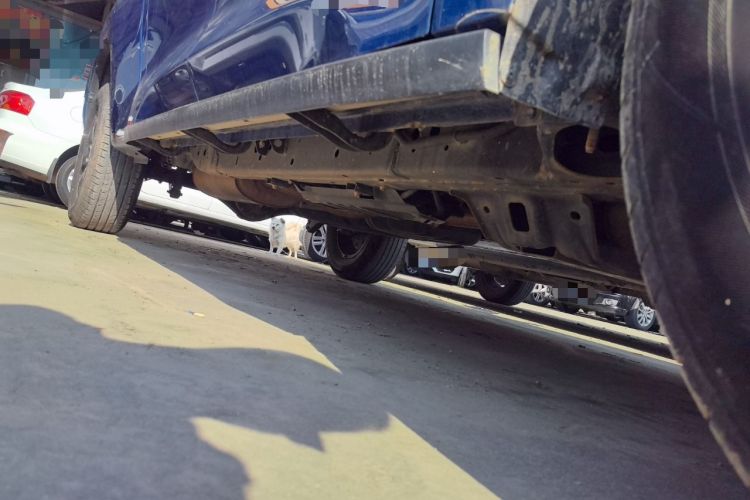 Used Great Wall Poer 2021 2.0T Commercial Version Automatic Diesel Two-Wheel Drive Elite Trim with Long Bed – GW4D20M
