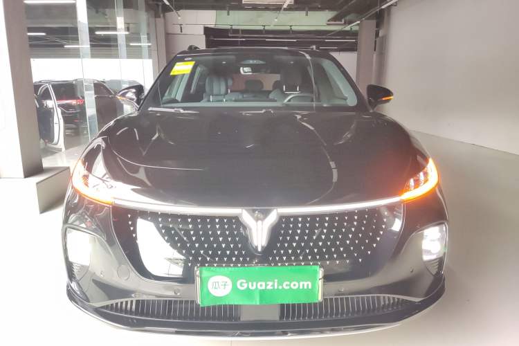 Used VOYAH COURAGE 2024 Four-Wheel Drive Global Edition
