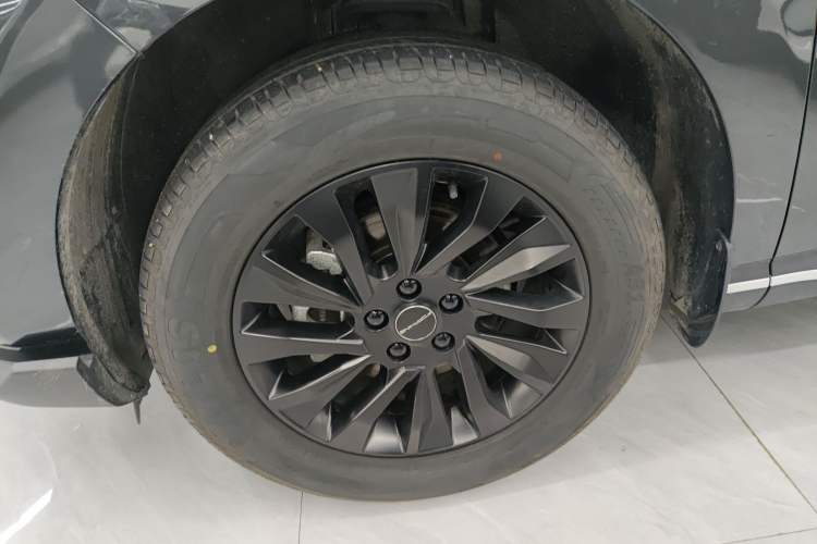 Used FORTHING T5 EVO 2024 Kungfeng Edition 1.5TD DCT Custom Model
