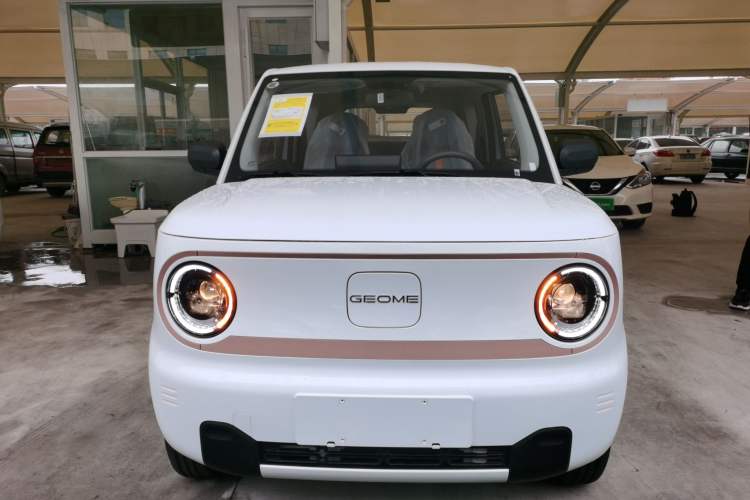Used  Panda 2024 Panda Mini 200km Endurance Bear