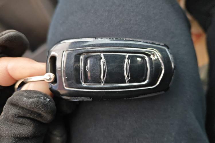 Used  Panda 2023 Panda Mini 200km Endurance Bear