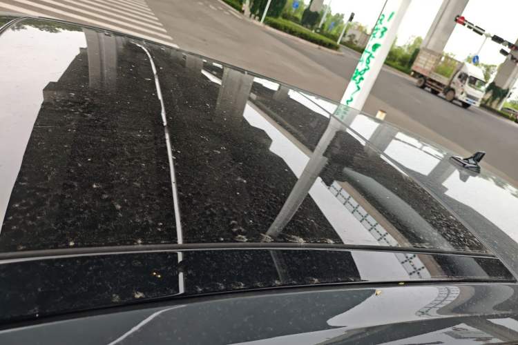 Used Audi Q2L 2021 35 TFSI Fashion Dynamic Model
