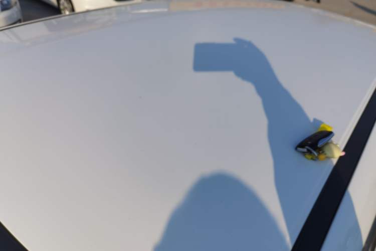 Used ORA White Cat 2020 360 km Luxury Version