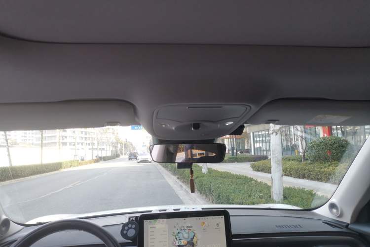 Used  #1 2024 Dynamic Standard Edition
