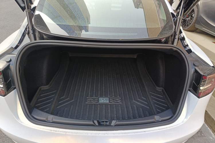 Used Tesla Model 3 2020 Revised Version Standard Range Rear-Wheel Drive – Upgraded Edition