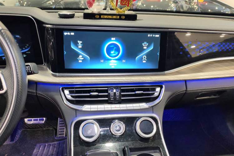 Used Hongqi H9 2020 3.0T Smart Connect Flagship Four-Seat Version
