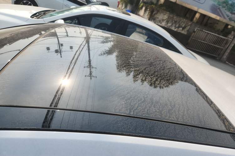 Used Volkswagen Golf 2019 280TSI DSG Comfort Version China V Standard
