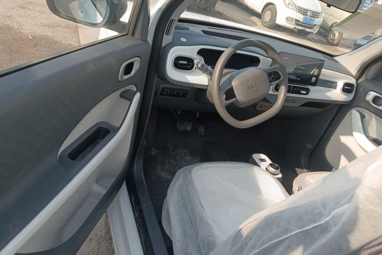 Used  Panda 2025 210 km – Yuanqi Bear
