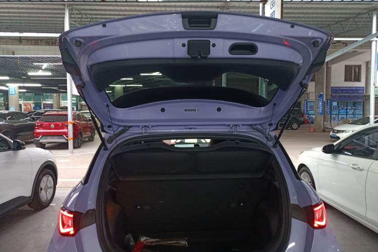 Used BYD Dolphin 2023 420 km Free Version
