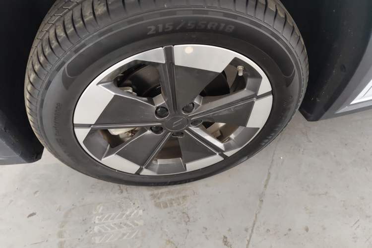 Used Livan Livan 7 2024 450km Executive Version
