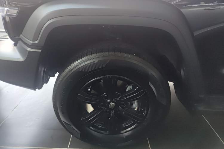 Used Tank 300 2024 2.0T Conqueror