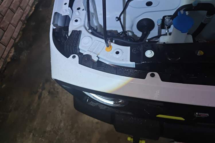 Used  Panda 2025 210km Panda Rider