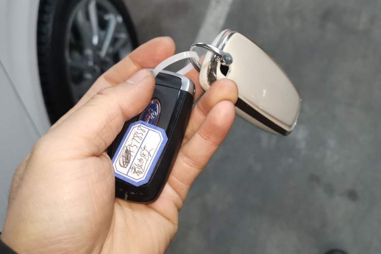 Used Ford Mondeo 2023 EcoBoost 245 Luxury Model
