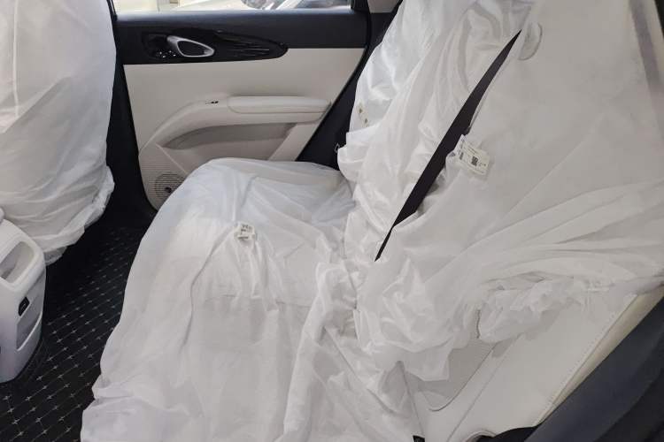 Used  Geome 2025 310km Dream Edition