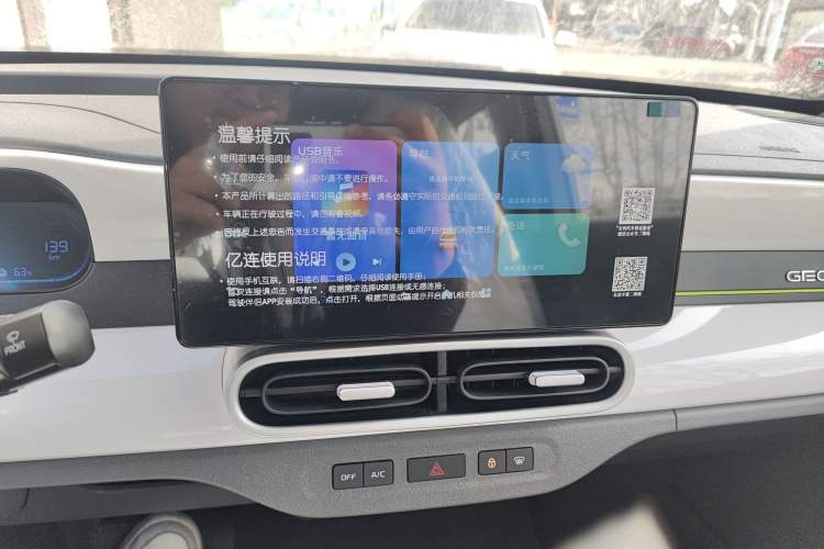 Used  Panda 2025 210 km – Yuanqi Bear
