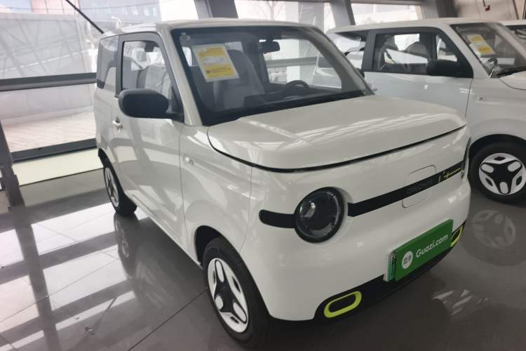 Used  Panda 2025 210 km – Yuanqi Bear

