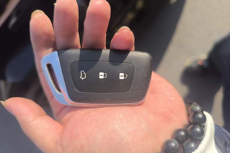 Used Baojun KiWi EV 2022 Artist Lite Edition Ternary Lithium