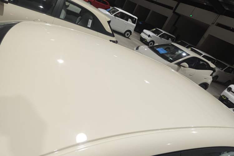 Used  Geome 2025 310km Youth Edition
