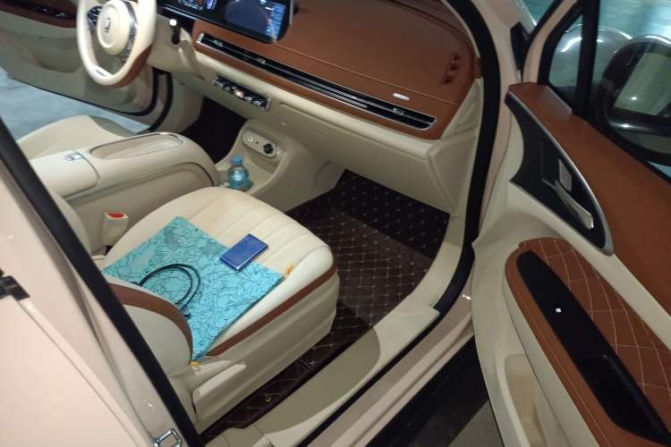 Used ORA Good Cat 2023 401 km Standard Range Luxury Version Lithium Iron Phosphate
