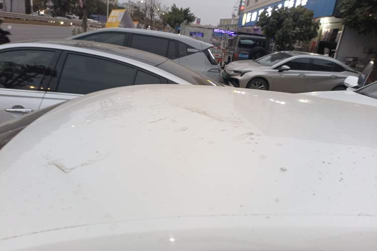 Used Volkswagen Santana 2015 Haval H6 1.6L Automatic Luxury Model