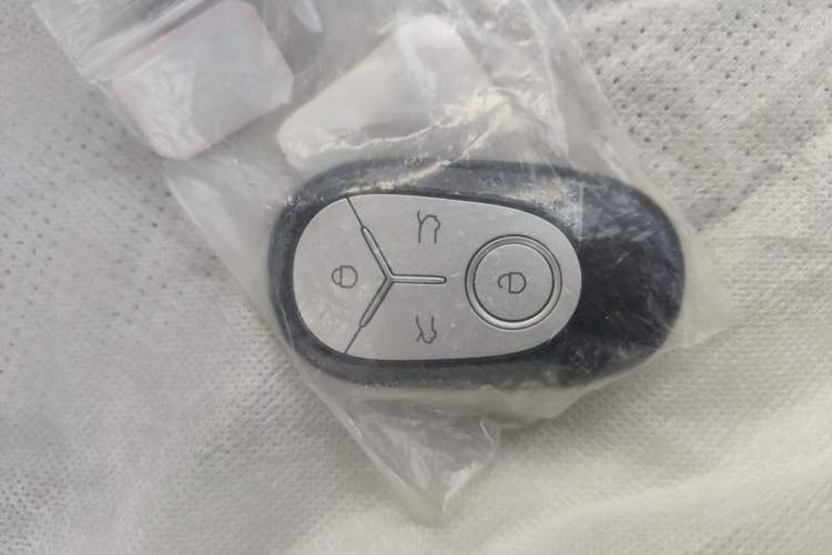 Used  Geome 2025 310km Dream Edition