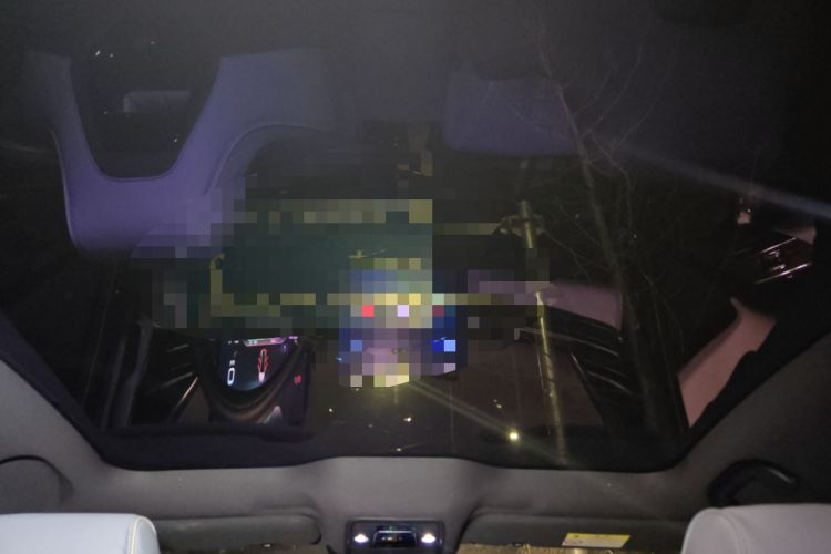 Used BYD Seal 2022 550 km Standard Range Rear-Wheel Drive Elite Version