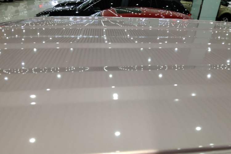 Used  Panda 2023 Panda Mini 200km Endurance Bear
