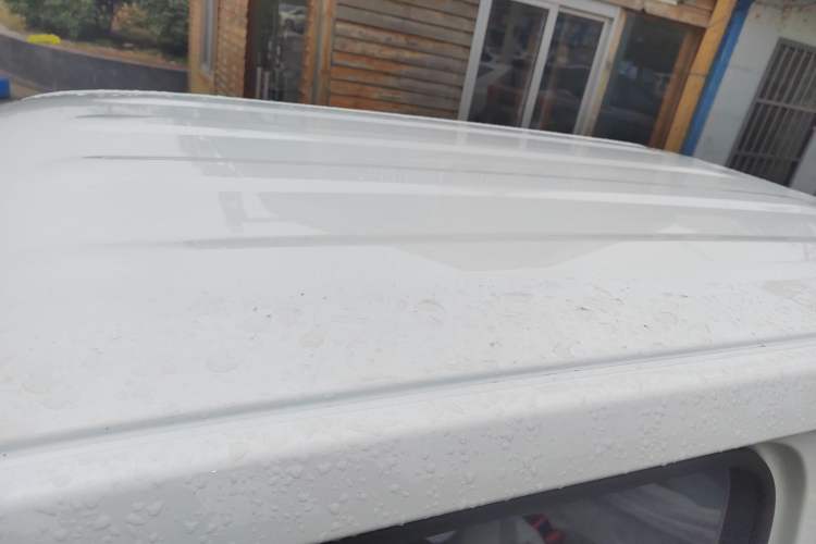 Used  Panda 2024 Panda Mini 200km Endurance Bear
