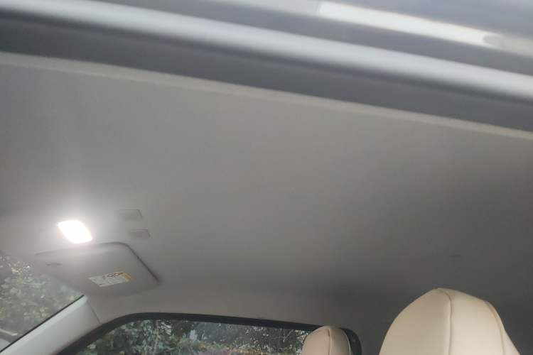 Used  Panda 2023 Panda Mini New Year Edition Treasure Bear
