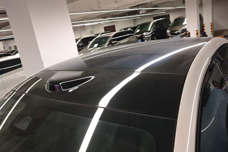 Used  LS6 2023 Max Standard Edition