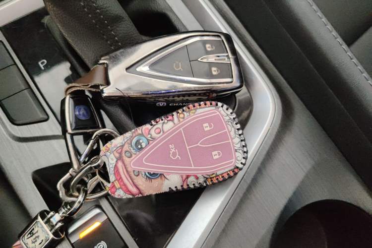 Used Changan CS55PLUS 2020 1.5T Automatic Colorful Model
