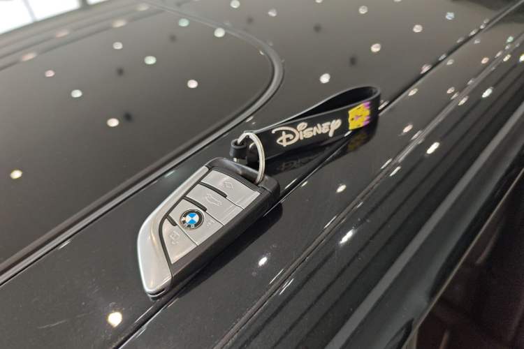 Used BMW 5 Series 2021 525Li Luxury Package