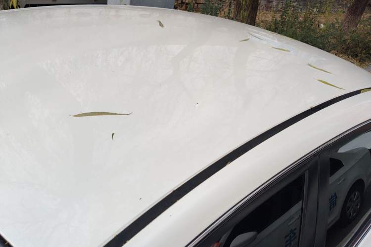 Used Nissan Sylphy 2021 Classic 1.6XE CVT Comfort Edition