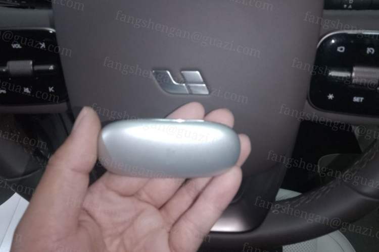 Used Li Auto MEGA 2024 Ultra Model
