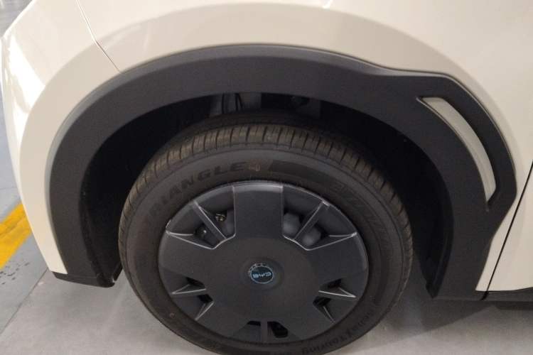 Used BYD Seagull 2025 305 km Free Version
