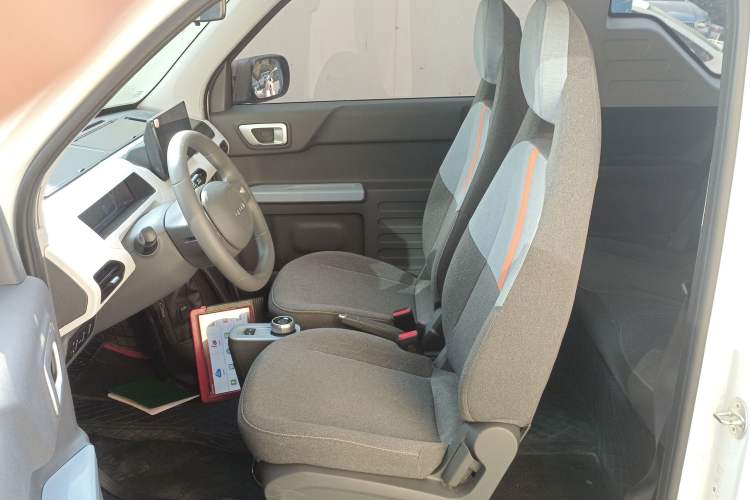 Used  Panda 2024 Panda Mini 200km Endurance Bear
