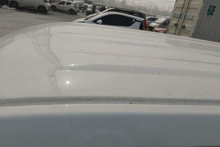 Used  Panda 2024 Panda Mini 200km Endurance Bear
