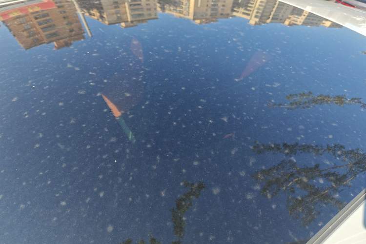 Used Changan UNI-V 2022 1.5T Prestige Version
