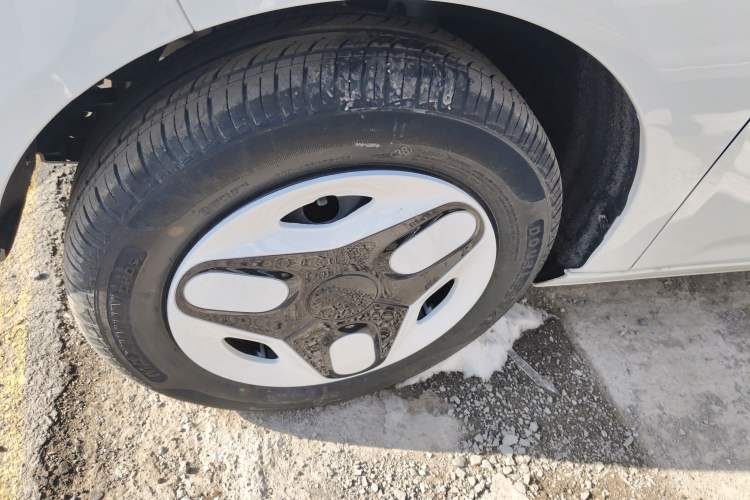 Used  Panda 2025 210 km – Yuanqi Bear
