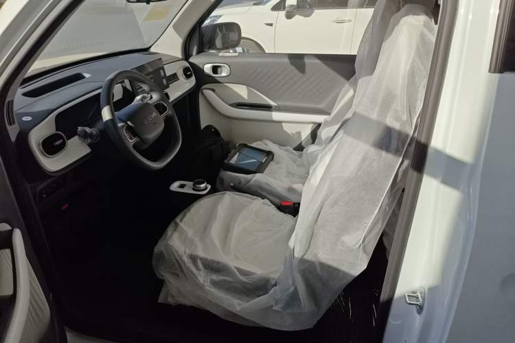 Used  Panda 2025 210 km – Yuanqi Bear