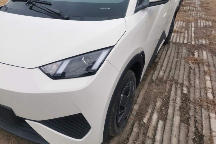 Used BYD Seagull 2025 Intelligent Driving Version 305 km Dynamic Edition
