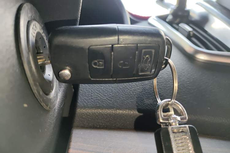 Used FORTHING Lingzhi PLUS 2021 Travel Edition 2.0L Manual Luxury 7-Seater