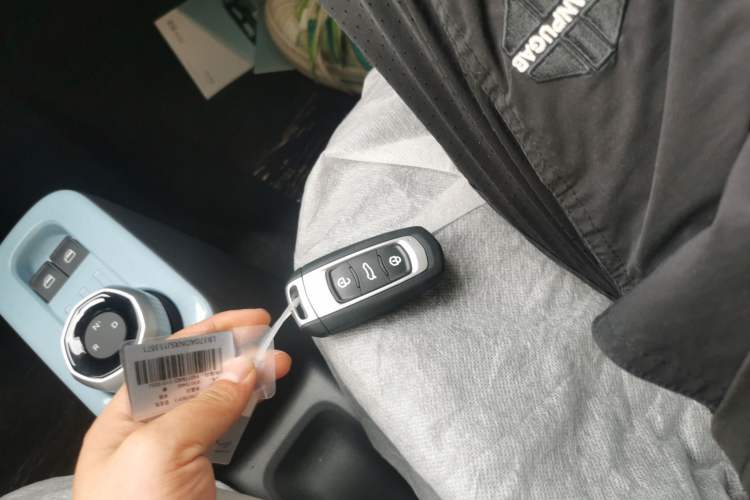 Used  Panda 2024 Panda Mini 200km Endurance Bear
