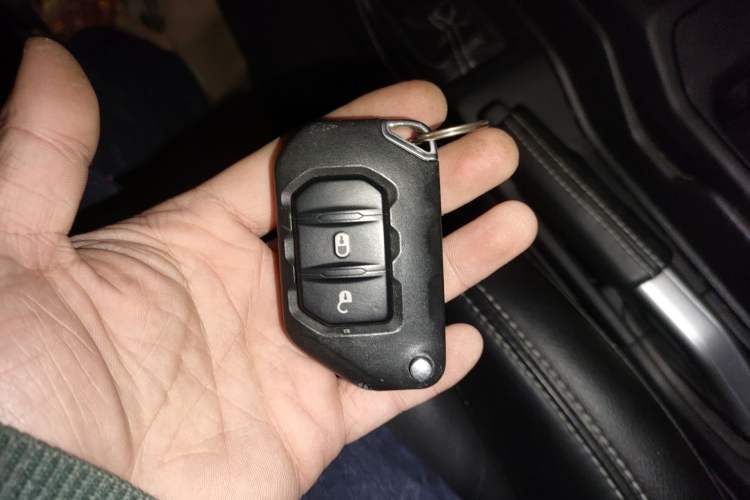 Used  Wrangler 2019 2.0T Sahara Four-Door Version China VI Emission Standard